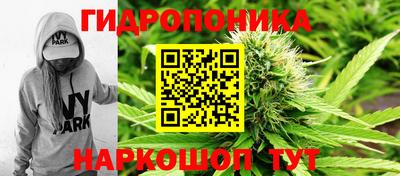 СК Сланцы