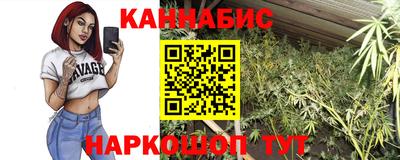 СК Сланцы