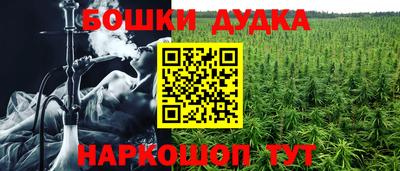 СК Сланцы