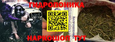 СК Сланцы