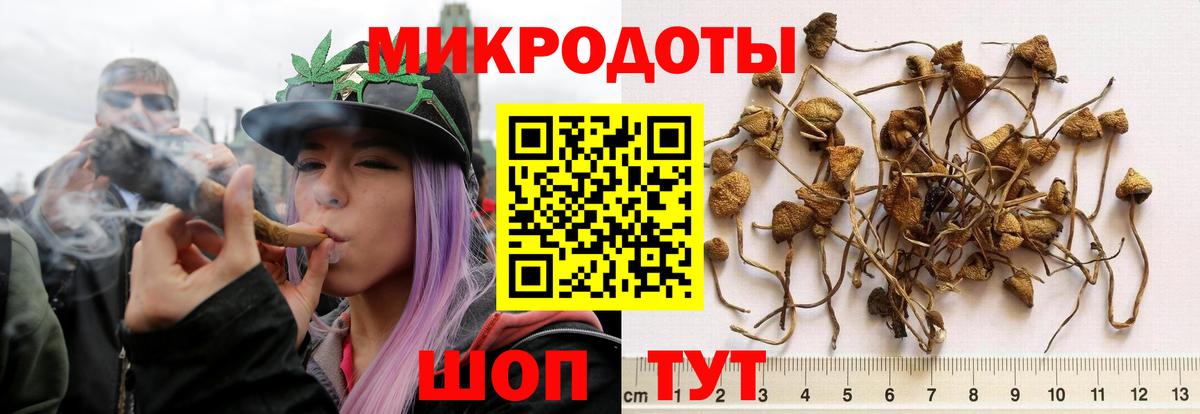 A-PVP СОЛЬ кристаллы  Гашиш  Конопля  Кодеин  Кокаин  Вход с VPN  Купить  Менделеевск  МЕФ кристаллы 